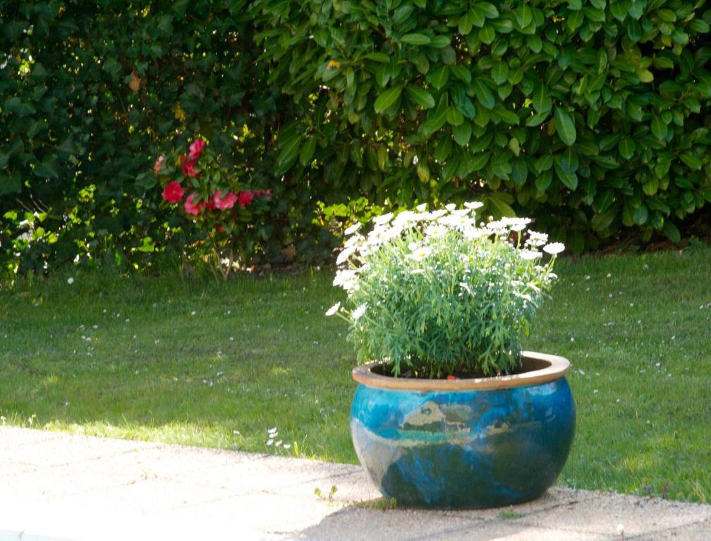 Les Hibiscus Bed & Breakfast Maisons-Laffitte Luaran gambar